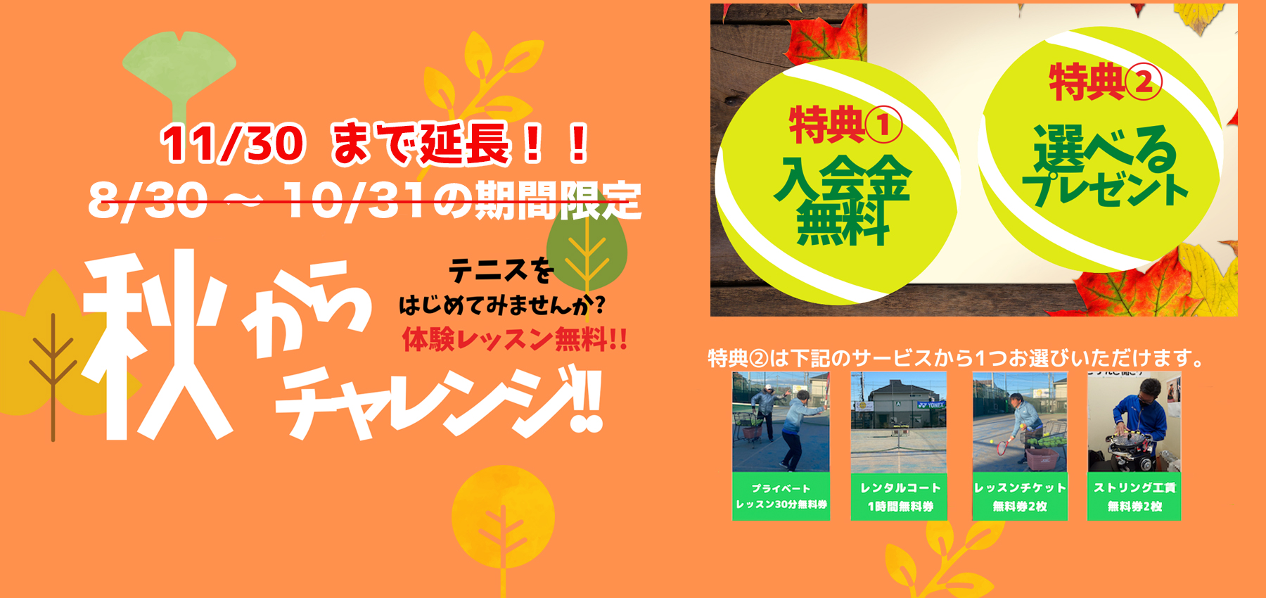 テニスカレッジ