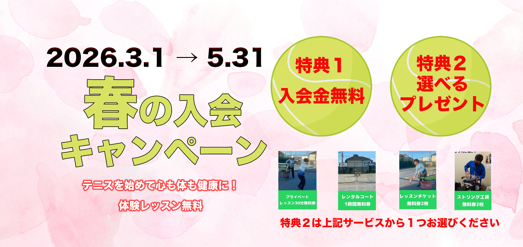 テニスカレッジ